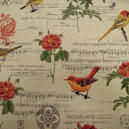 Gardintyg Singbird 