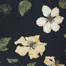 CLEMATIS Kinnamark, gardintyg