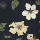 CLEMATIS Kinnamark, gardintyg