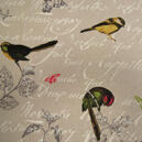 Oiseaux, gardintyg