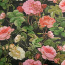 Rosalie, gardintyg
