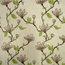 Magnolia mauve, gardintyg